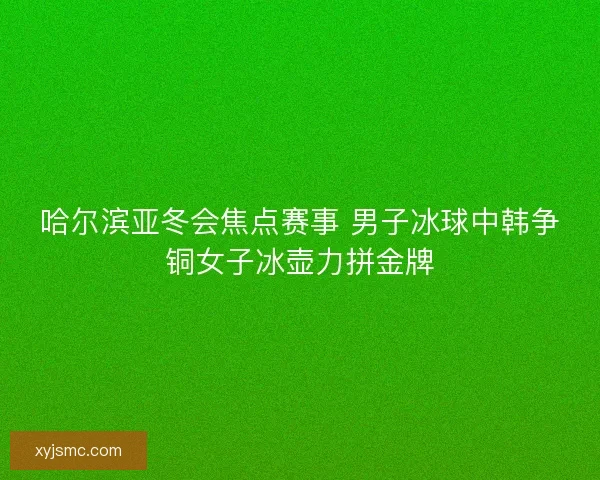 哈尔滨亚冬会焦点赛事 男子冰球中韩争铜女子冰壶力拼金牌